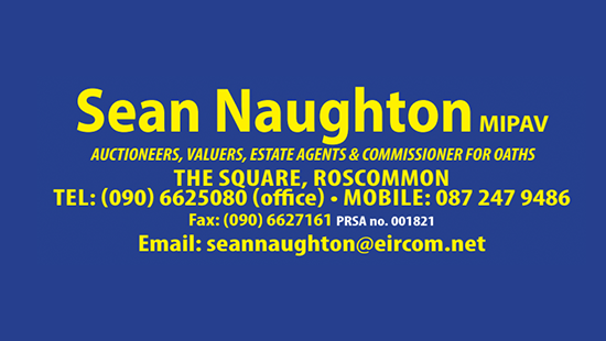 Sean Naughton Auctioneers & Valuers